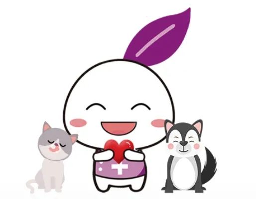 “喵“生绝育大事,腹腔镜下“微”察秋毫,让疼痛降到更低