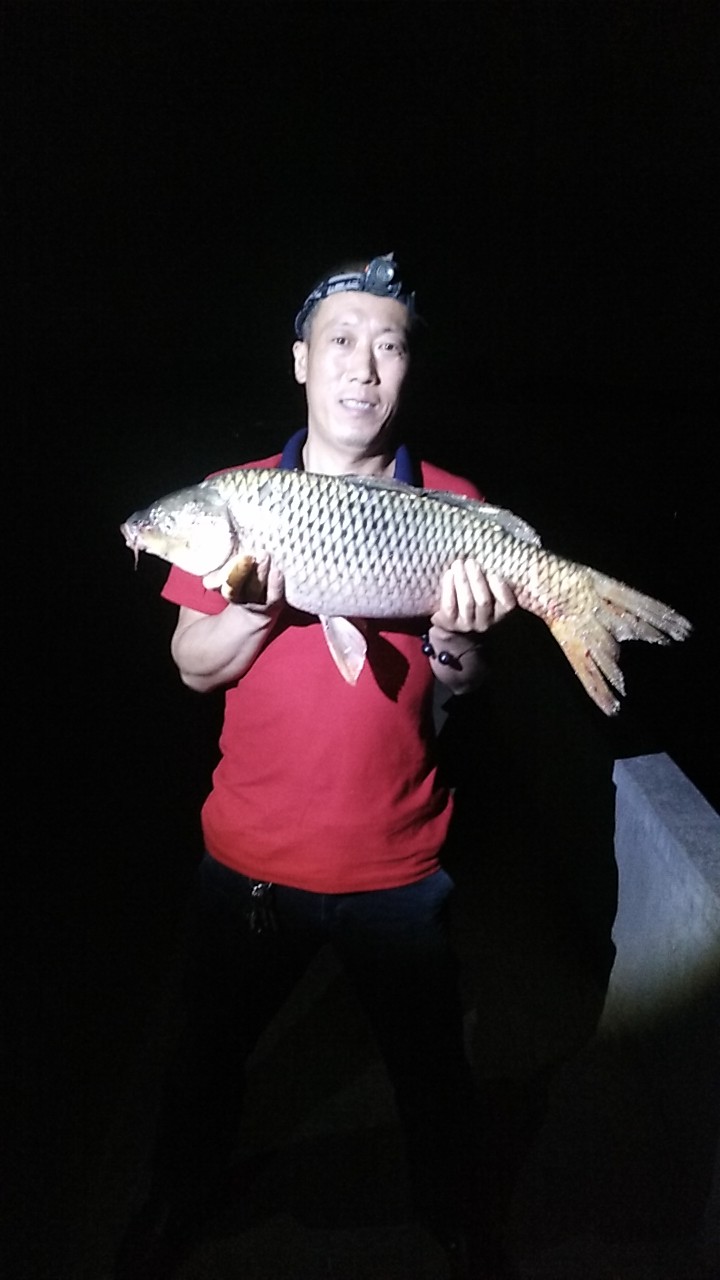 野钓腥味饵料排行榜第一名,腥味饵料钓虾