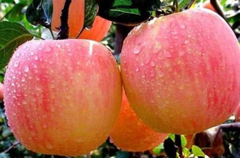 心理测试你觉得哪个笑得最开心,心理测试测你贵人是谁