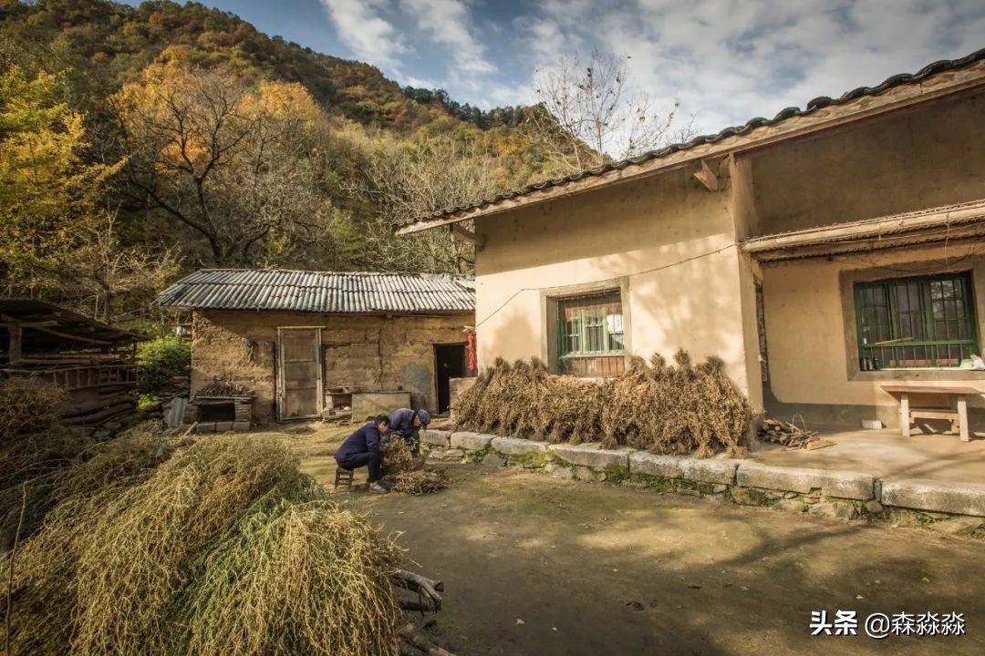 秦岭赏秋怎么玩才好玩呢,大秦岭山旅游攻略