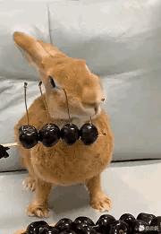 只能亮度调亮才能看得懂的梗,调高亮度才能看懂的梗