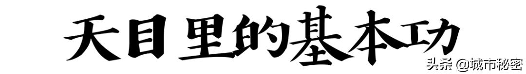 从学霸到赌王再到上市公司老总,浙大化学系学霸到服装公司上市