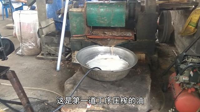 专家说农村自榨花生油不能吃,小伙公开榨油过程,专家不说话了