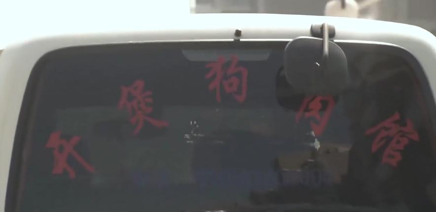 主人想把狗安乐死,主人选择抛弃狗狗