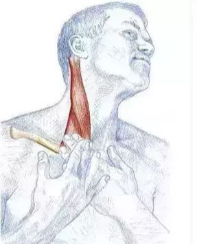 很瘦却有双下巴是什么原因,长得瘦却有双下巴