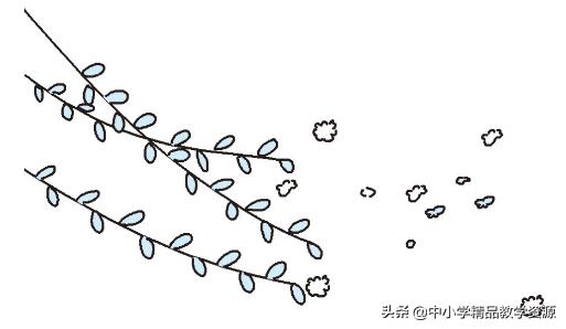 植物妈妈有办法二年级上课文仿写,二年级上册植物妈妈有办法课文