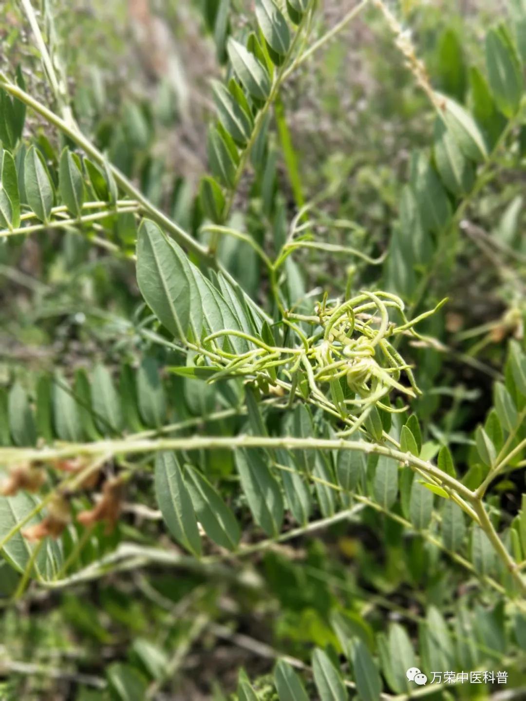跟我回家在线免费看,跟我回家免费看