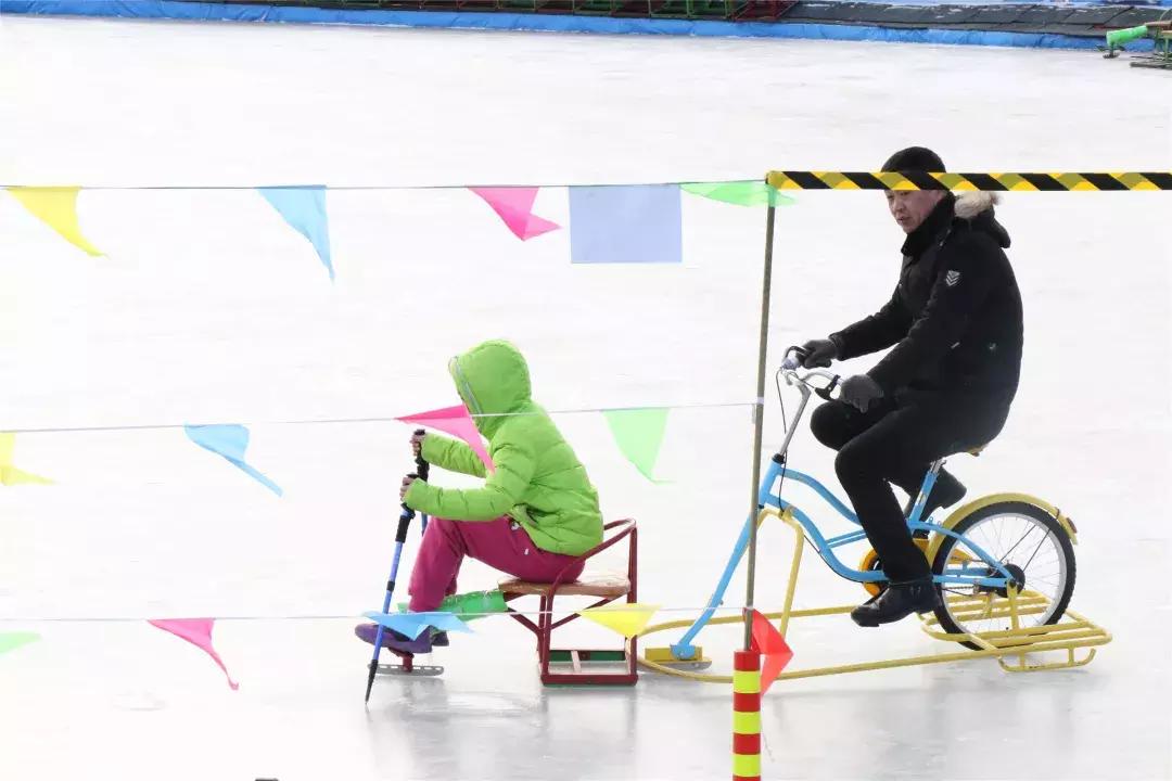 美美美！海淀这个地儿，万株兰花惊艳来袭，你招架的住吗？