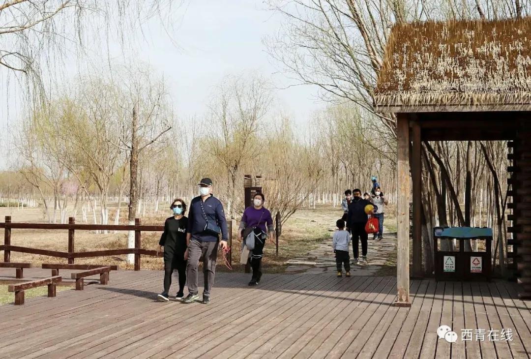 天津将新添一座公园预计开放时间,天津即将开放的公园在哪里