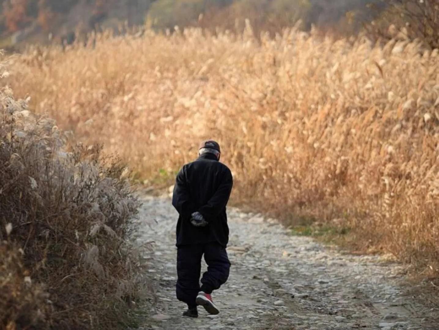 父亲病了感觉天塌了,父亲病倒了感觉天塌了