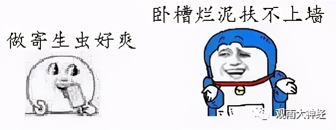 回顾2016,西方民主崩溃元年