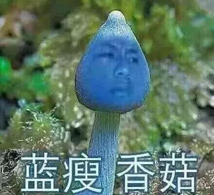 时代流行语老了,20个深刻的网络流行语