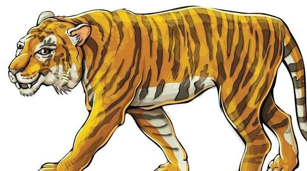 十二生肖的春节祝福语,春节生肖祝福语