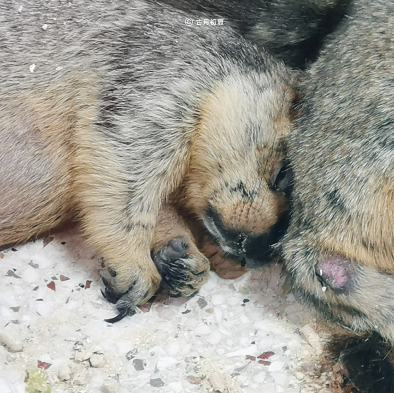 厦门科技馆游玩攻略2-3岁儿童,厦门科技馆每一个馆只能玩一次吗