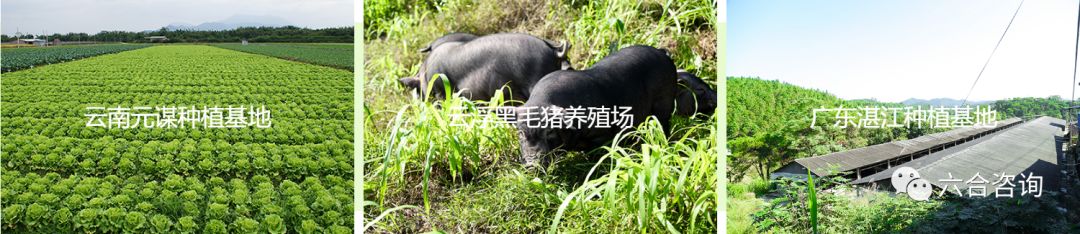 钱大妈:不卖隔夜肉,6年开1,000家生鲜便利店,家门口的菜市场