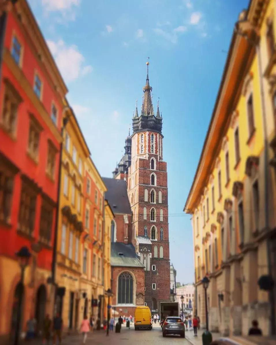 横冲直撞20岁波兰,横冲直撞20岁评价