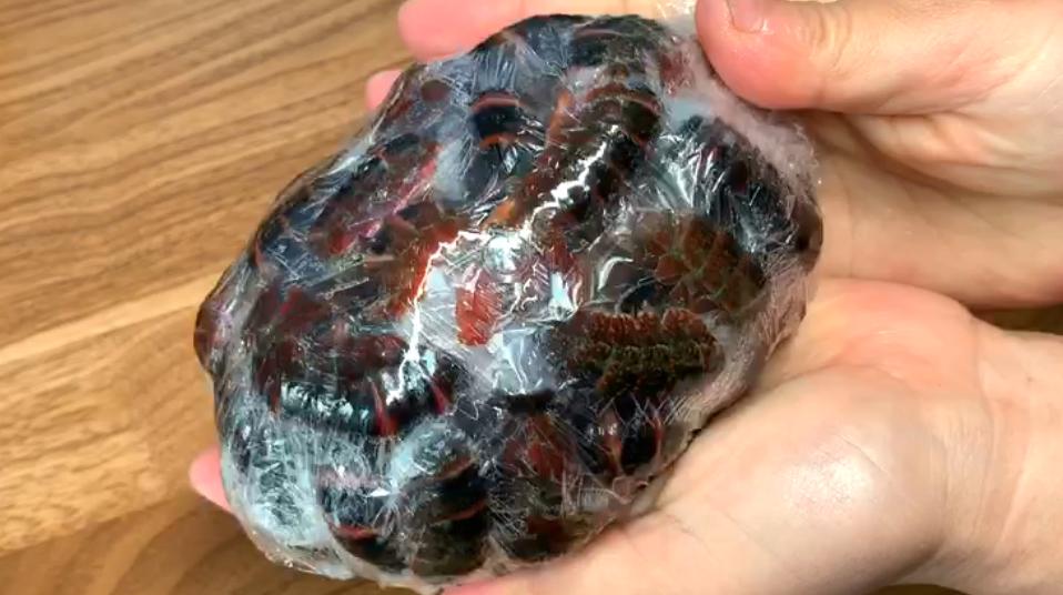 夏天，碰到此虾别手软，一次性买30斤，放冰箱冻起来，特省事