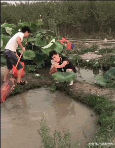 这只鹦鹉一直以为他是一只猴,所以每天都在重复做这个动作