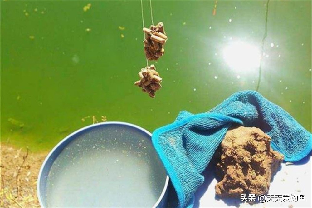 怎么防止小鱼闹窝最有效,小鱼闹窝还钓不到