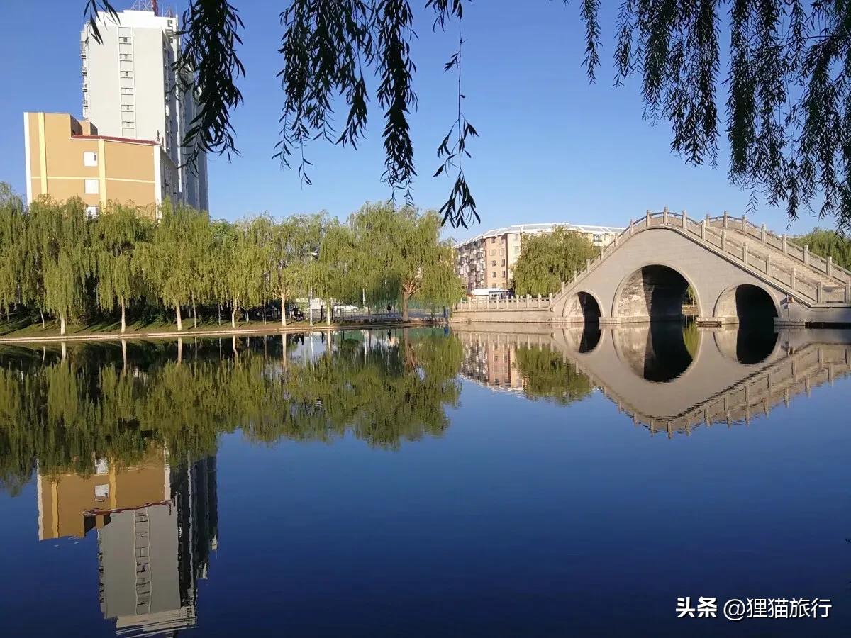 沙雅胡杨林自然保护区,新疆沙雅胡杨林介绍