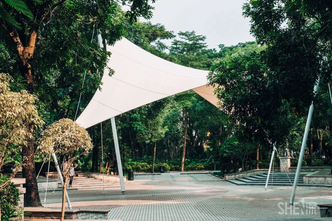 疫情期间免费开放的公园,疫情期间开放的公园有哪些