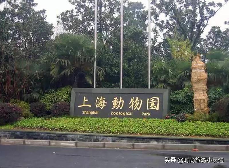 上海旅游风景区有哪些地方,上海旅游风景区哪个最好