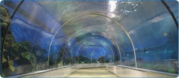 开封海洋馆门票70岁免费吗,开封海洋馆门票20元2019