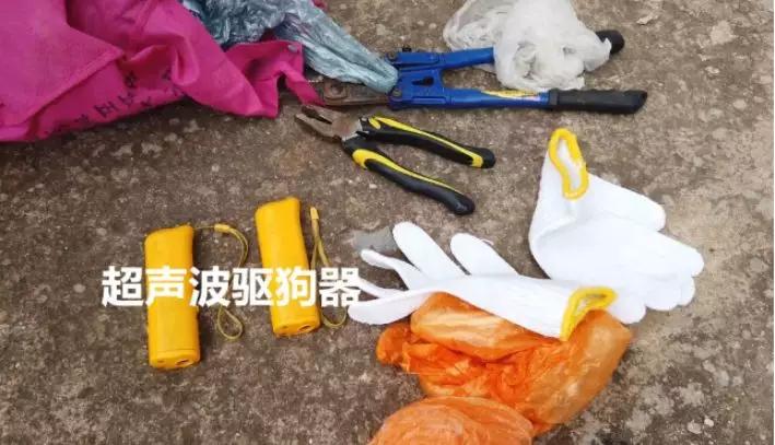 偷狗事件警方是如何提醒的,如何防范偷狗警方