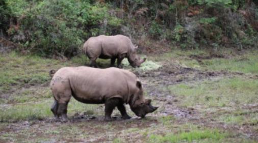 收好这份云南最新5a景区名单,云南的5a级景区有哪些