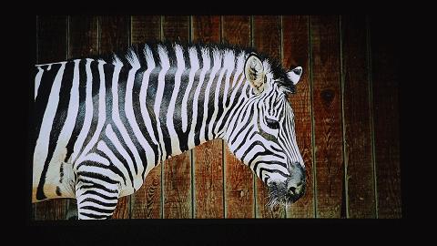 联想t500play和t500的区别,联想T500智能投影