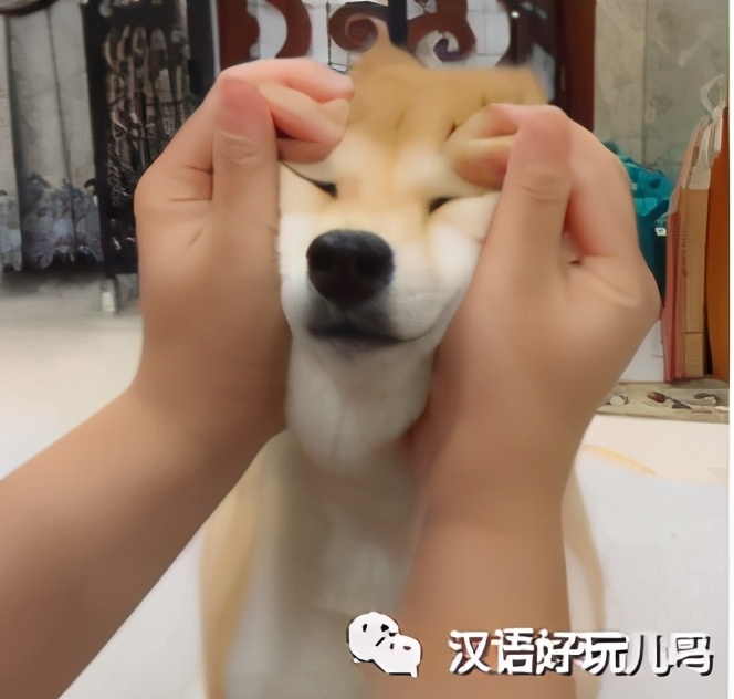 四川话会说不会写的动词,四川方言中难写的字