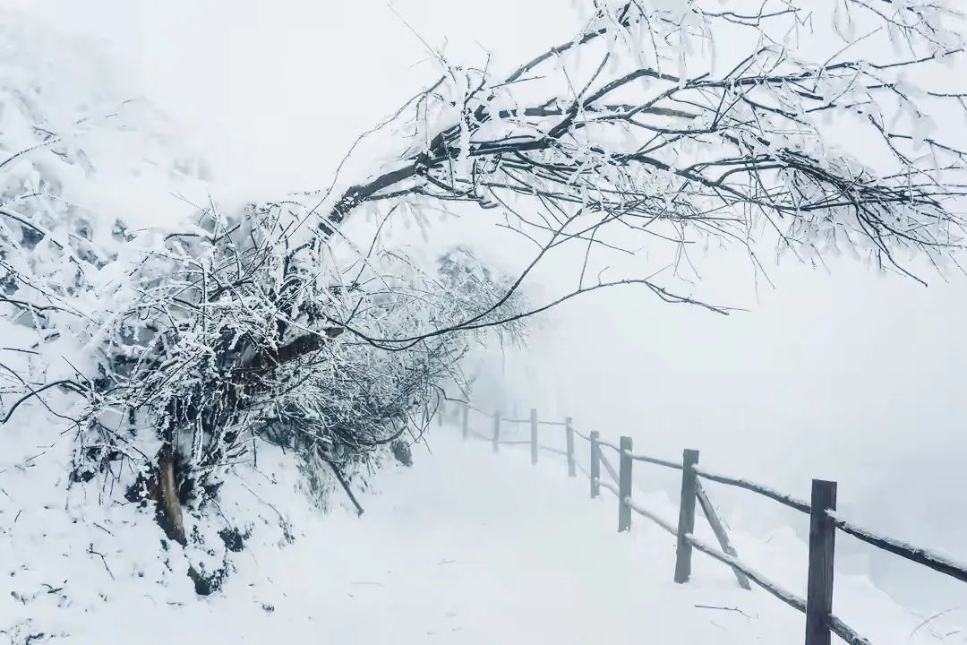 峨眉山两日游最全旅游攻略,峨眉山两日游详细攻略