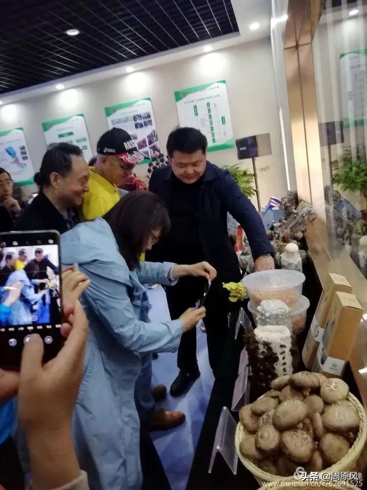 赴一场春日的邀约,五月赴一场与槐花的约会