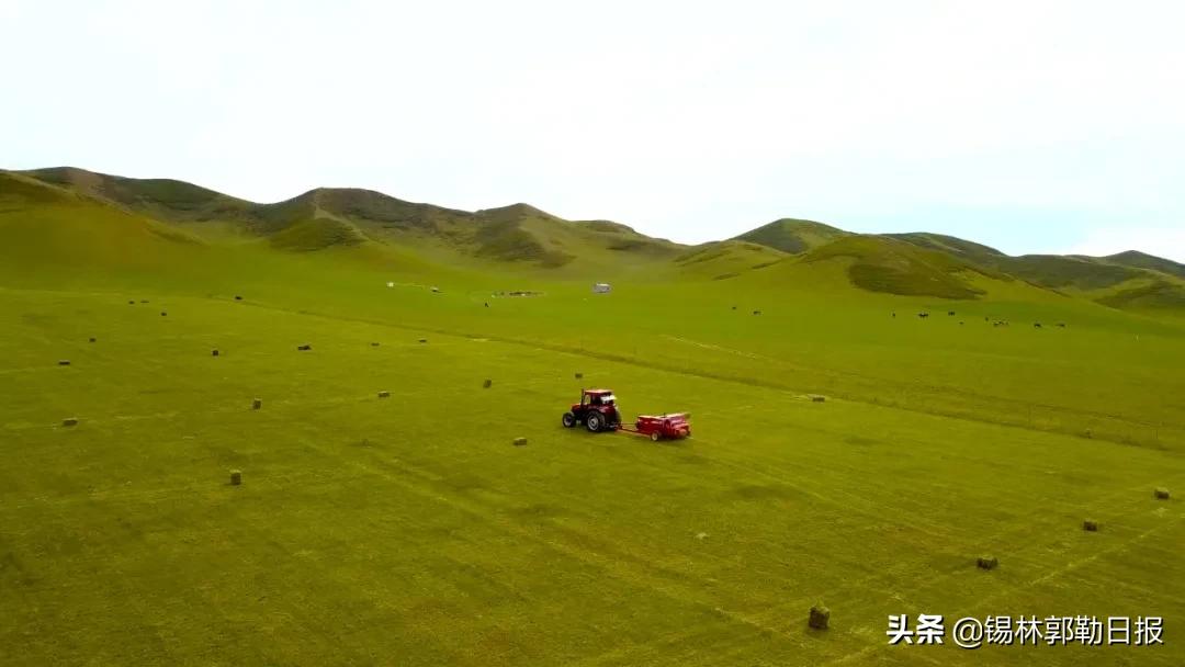 草原上的庄稼地,草原上的牧草怎么收割视频