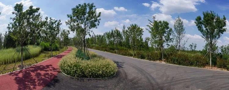 儿童乐园绿心公园,绿心公园儿童游乐区最新视频