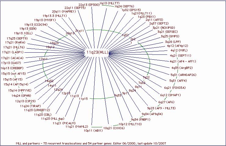 靶向药没有效果重新做基因检测,靶向治疗第二次没有基因突变