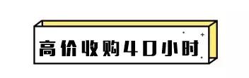 水晶城40小时不打烊,水晶城40小时攻略