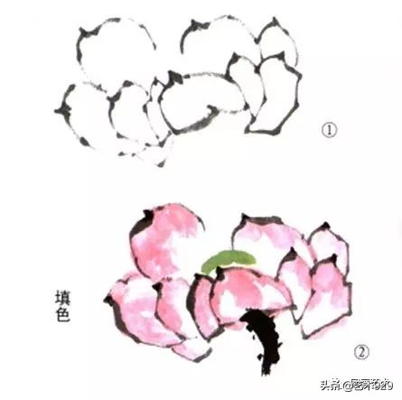 荷花的画法和步骤图解,最简单的荷花画法一学就会