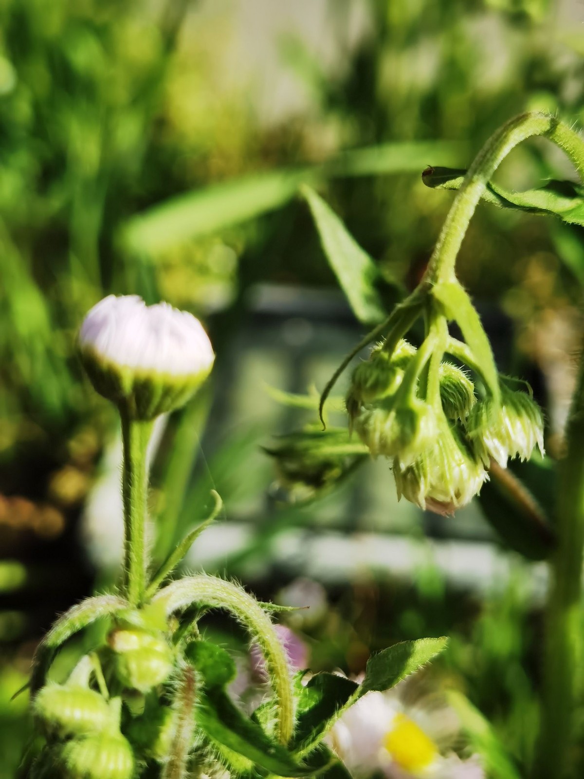 2022黑马星座,2021年运势最好的黑马星座