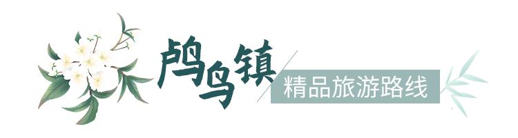 欢呼！余杭9条精品旅游线出炉！瓶窑、塘栖、中泰...太惊艳了！