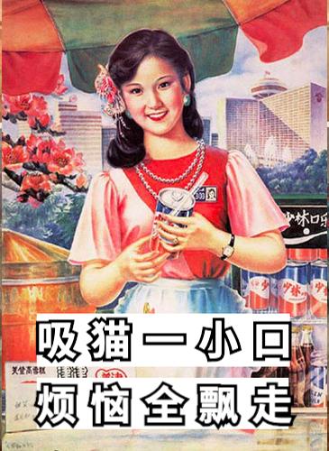 祺鑫养猫实录,穷人养猫实录