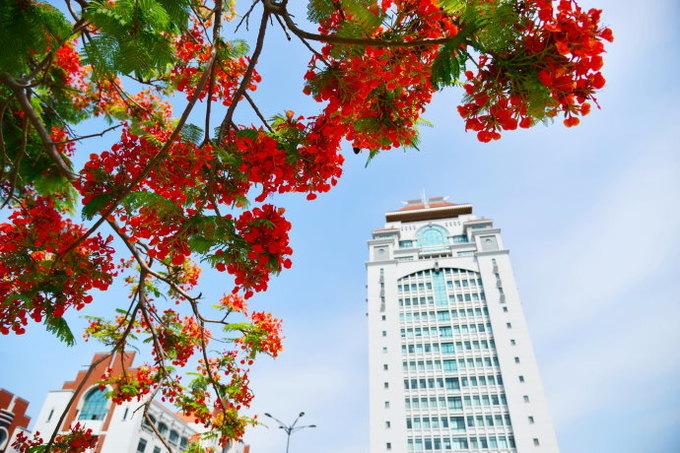 厦门住宿攻略最佳酒店,厦门住宿攻略2013