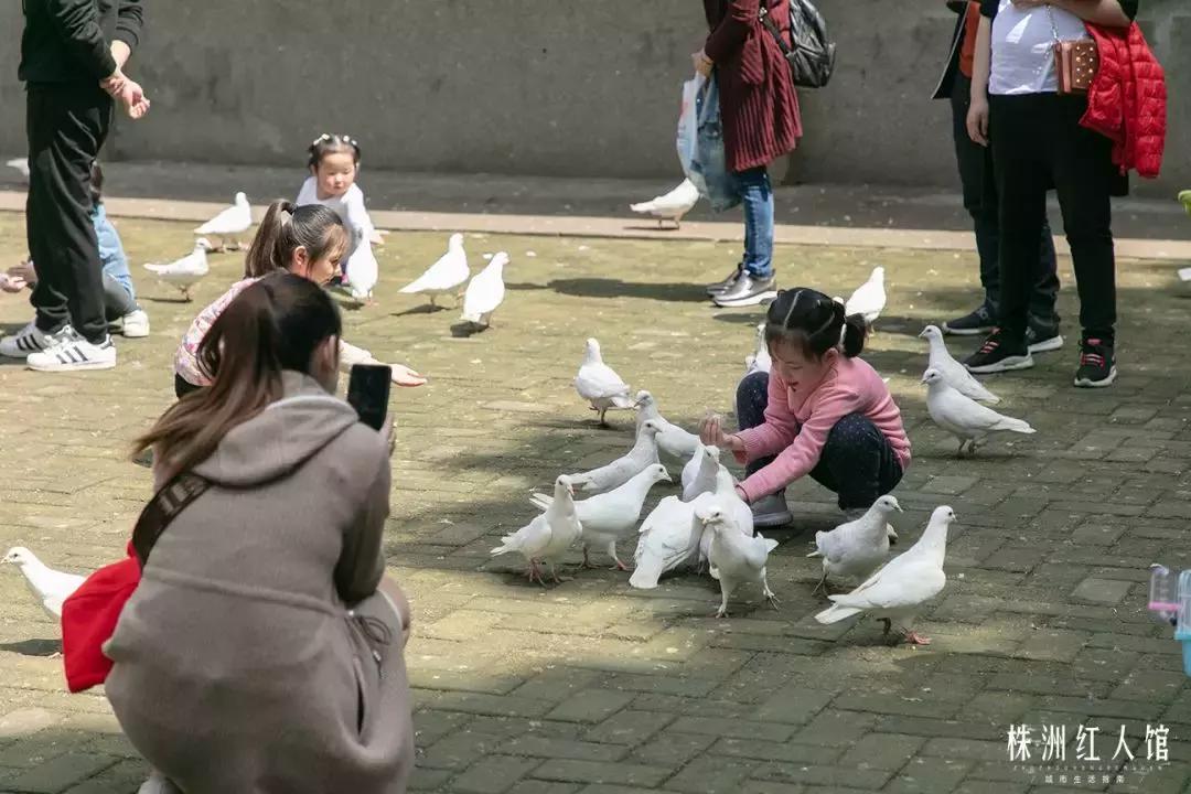 以前的株洲神农公园,株洲神农公园古城