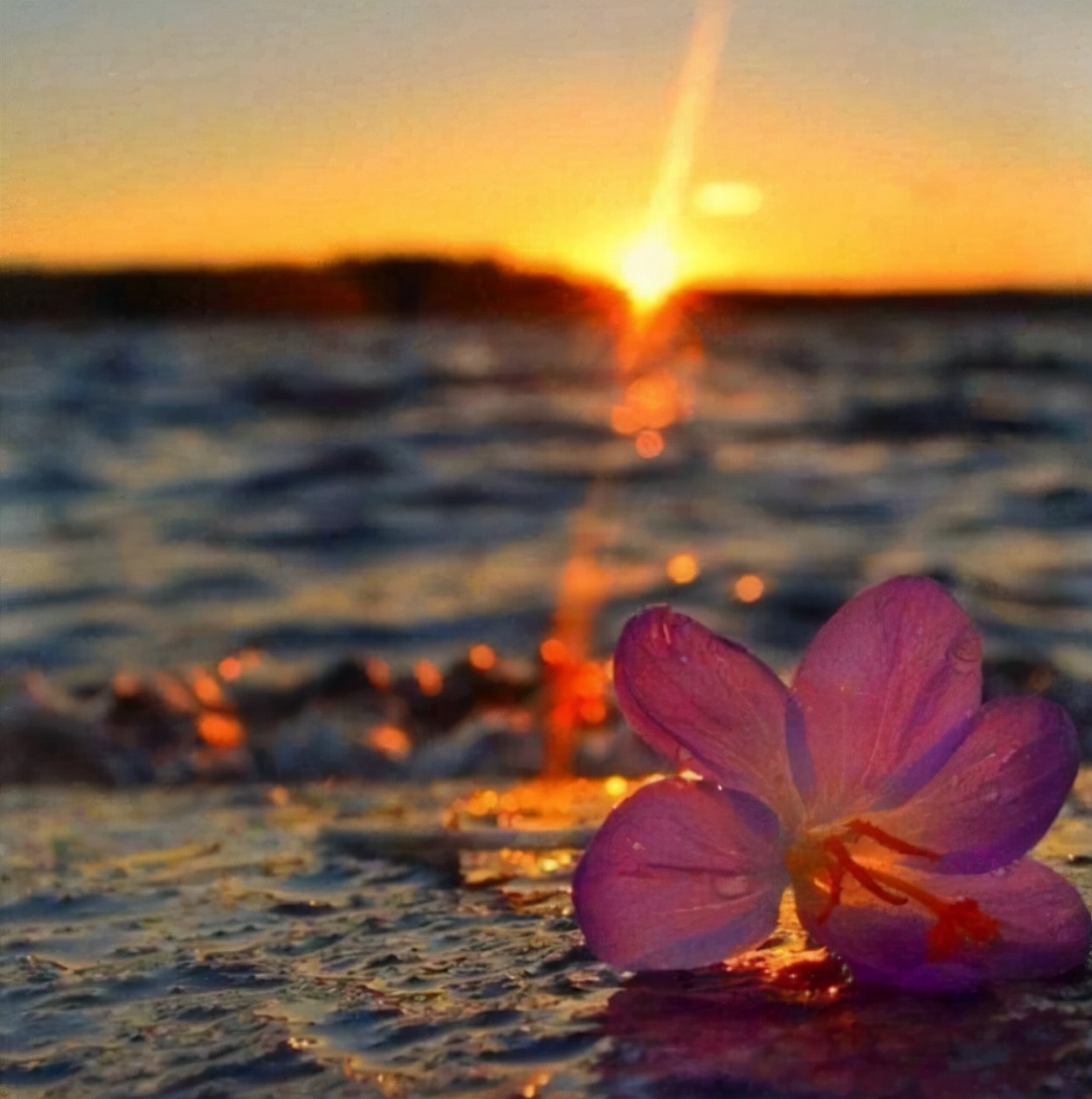 人到中年最要紧的是努力赚钱,人到中年赚钱才是最大的清醒