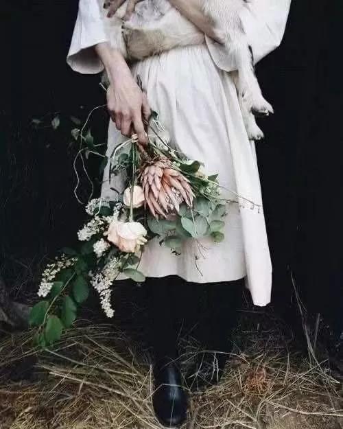 纯小白买花攻略,小白买股实操