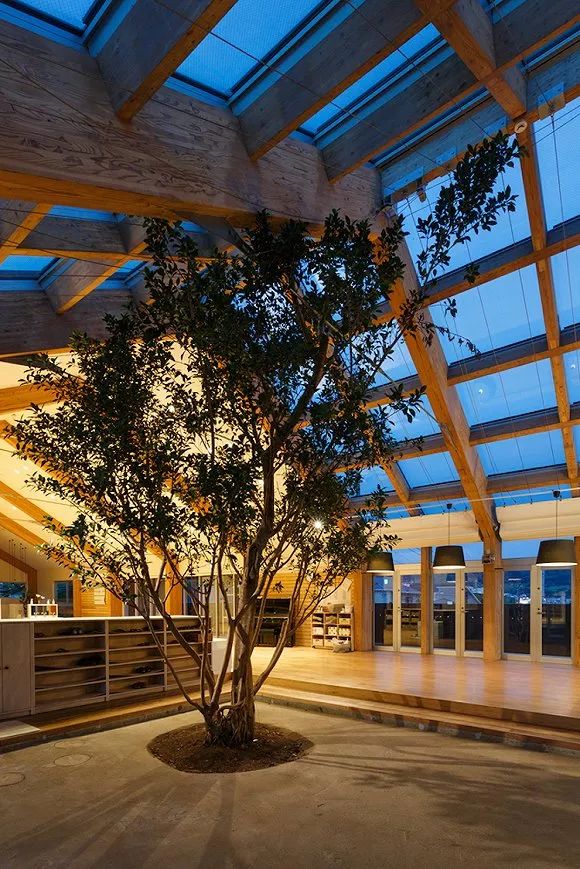 国内10所最美幼儿园,最美中国幼儿园视频