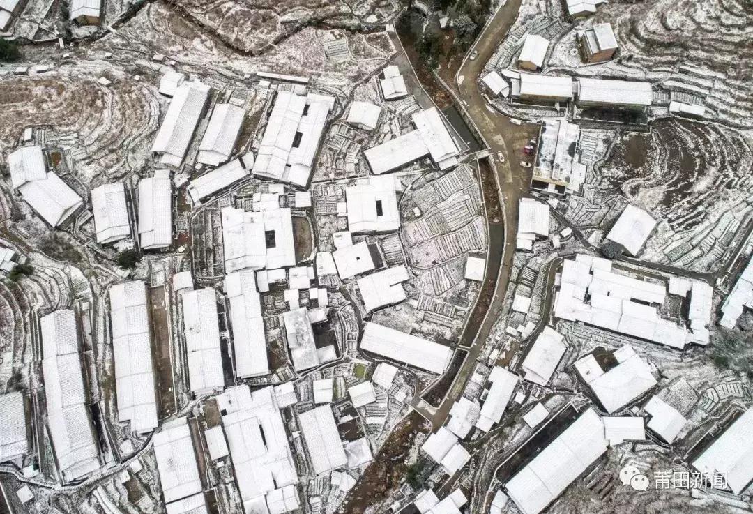 不只做红木、开金店!莆田人还会“滚雪球”?