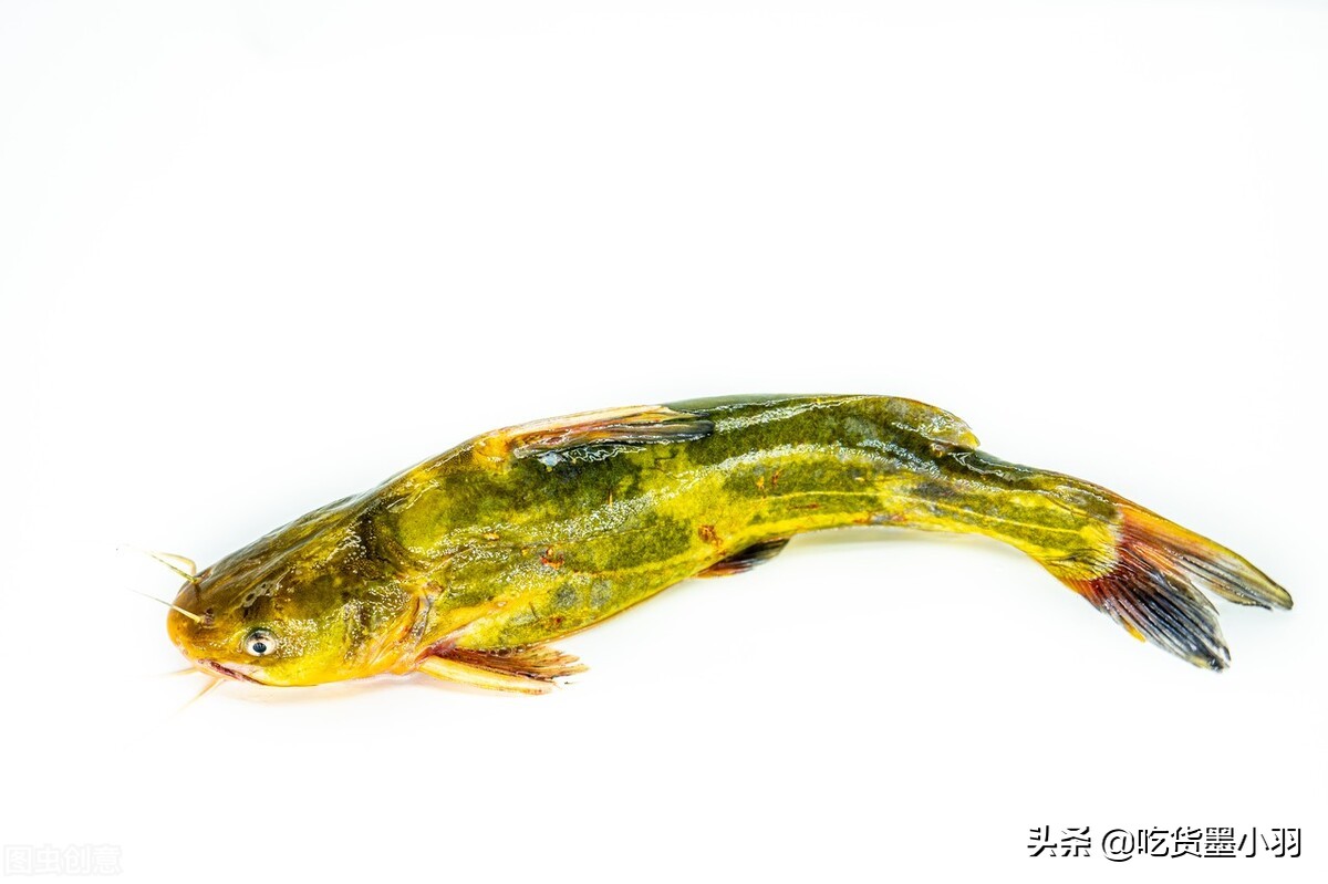 味道鲜美肉质细嫩的清蒸多宝鱼,3岁宝宝的清蒸多宝鱼怎么做