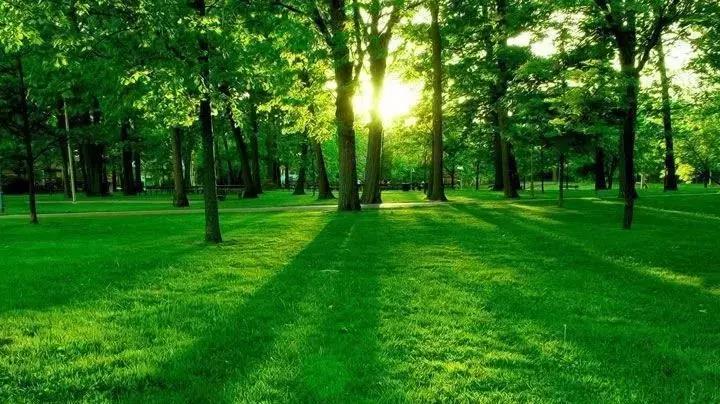 园外园怎么样,园外园名园