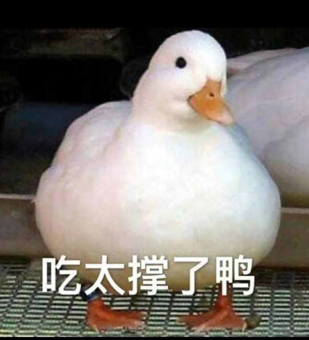 舟山群岛神仙酒店,舟山群岛高端度假酒店